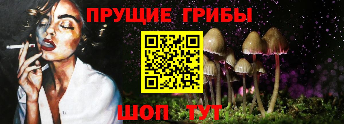 Галлюциногенные грибы Cubensis  Галлюциногенные грибы прущие грибы  Тавда  Вход с VPN 